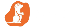 Gelengi Yayınları